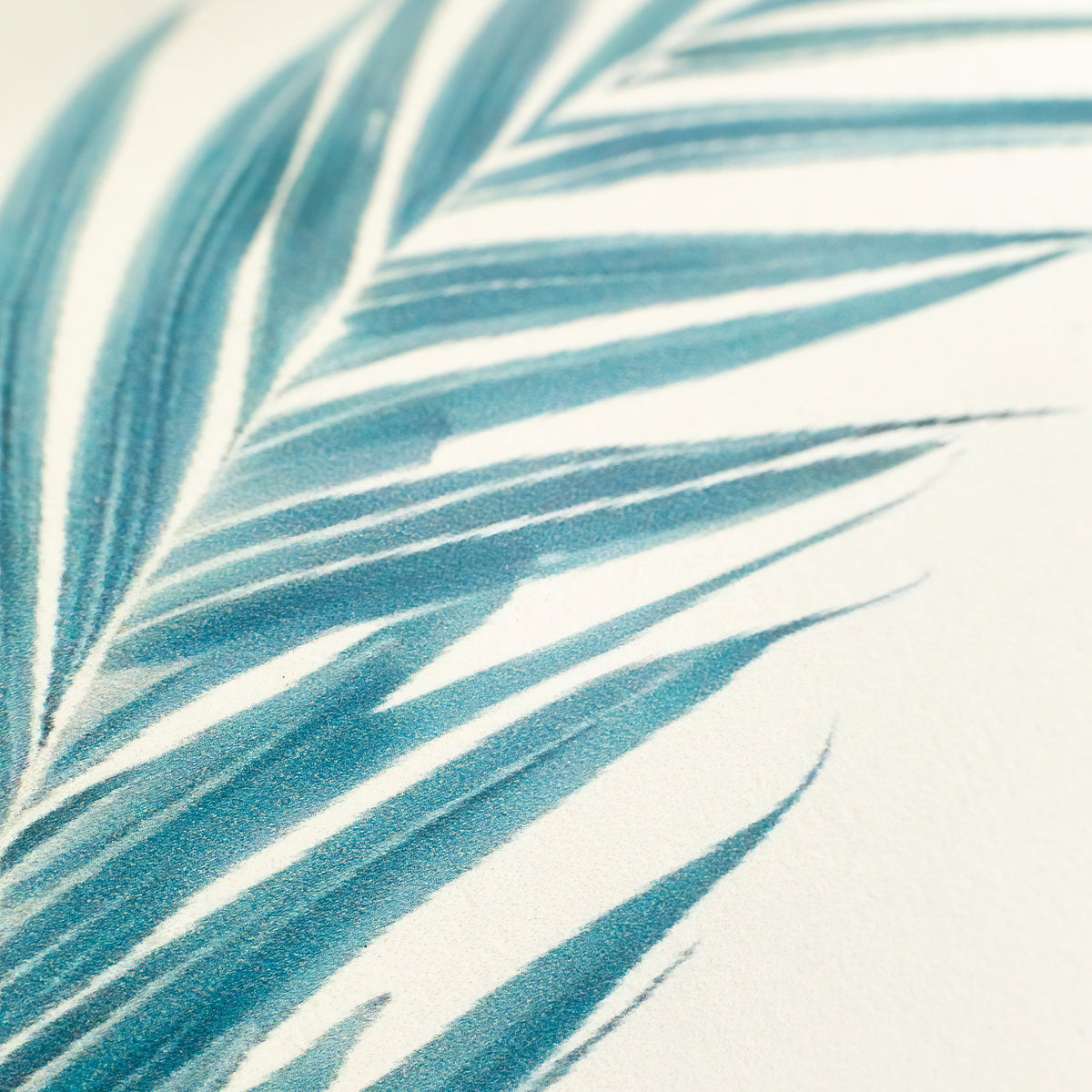 Wild Spirit